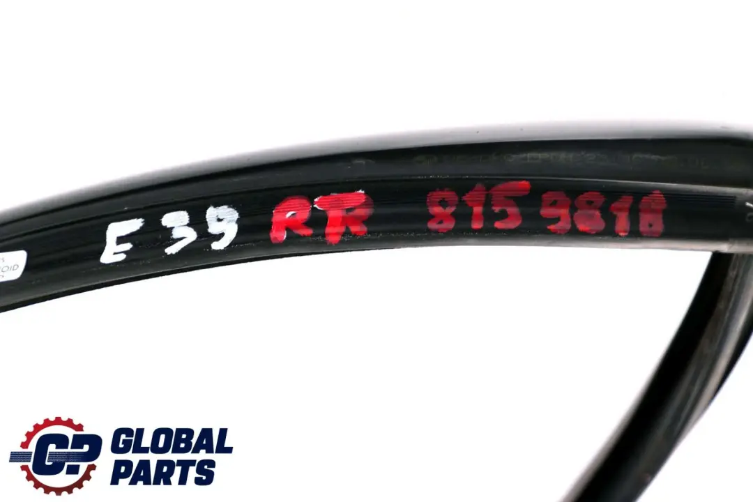 BMW 5 er E39 Fensterführung Tür Hinten Rechts - SKU 8159818 - Teilenummer 8159818