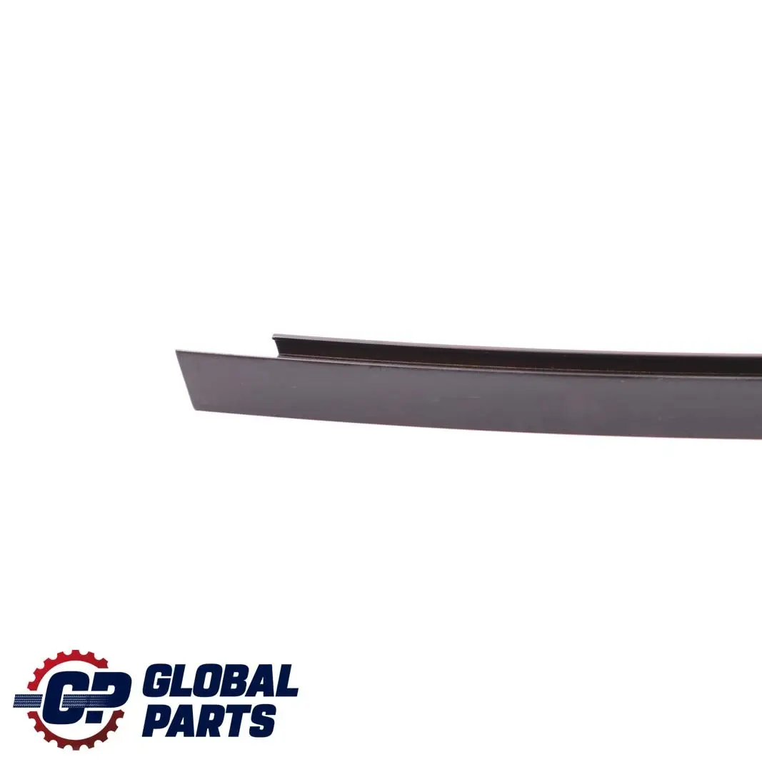 BMW E46 Berlina Coperchio Guida Finestrino Destro Posteriore Nero - SKU 8160974 - Numero di parte 8160974