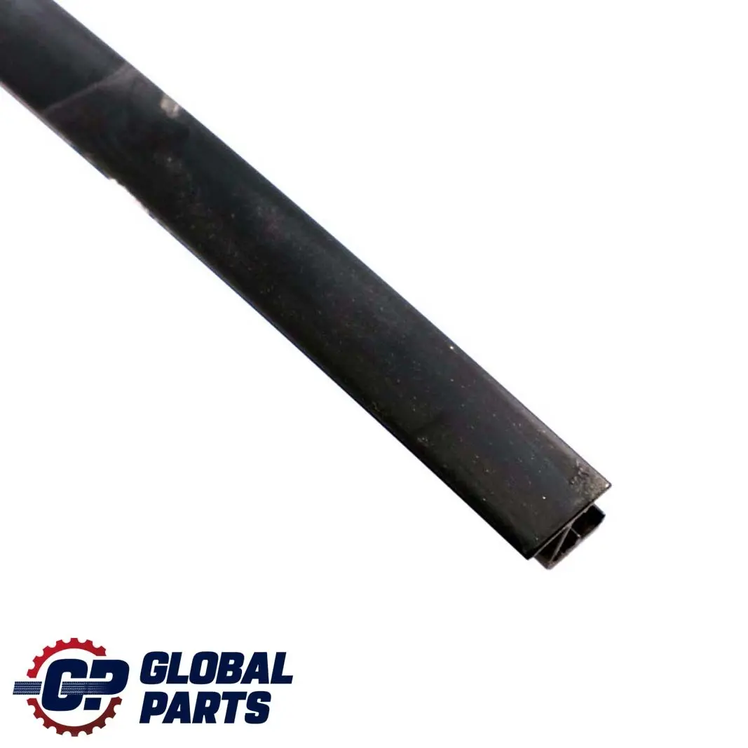 BMW E46 Berlina Coperchio Guida Finestrino Destro Posteriore Nero - SKU 8160974 - Numero di parte 8160974