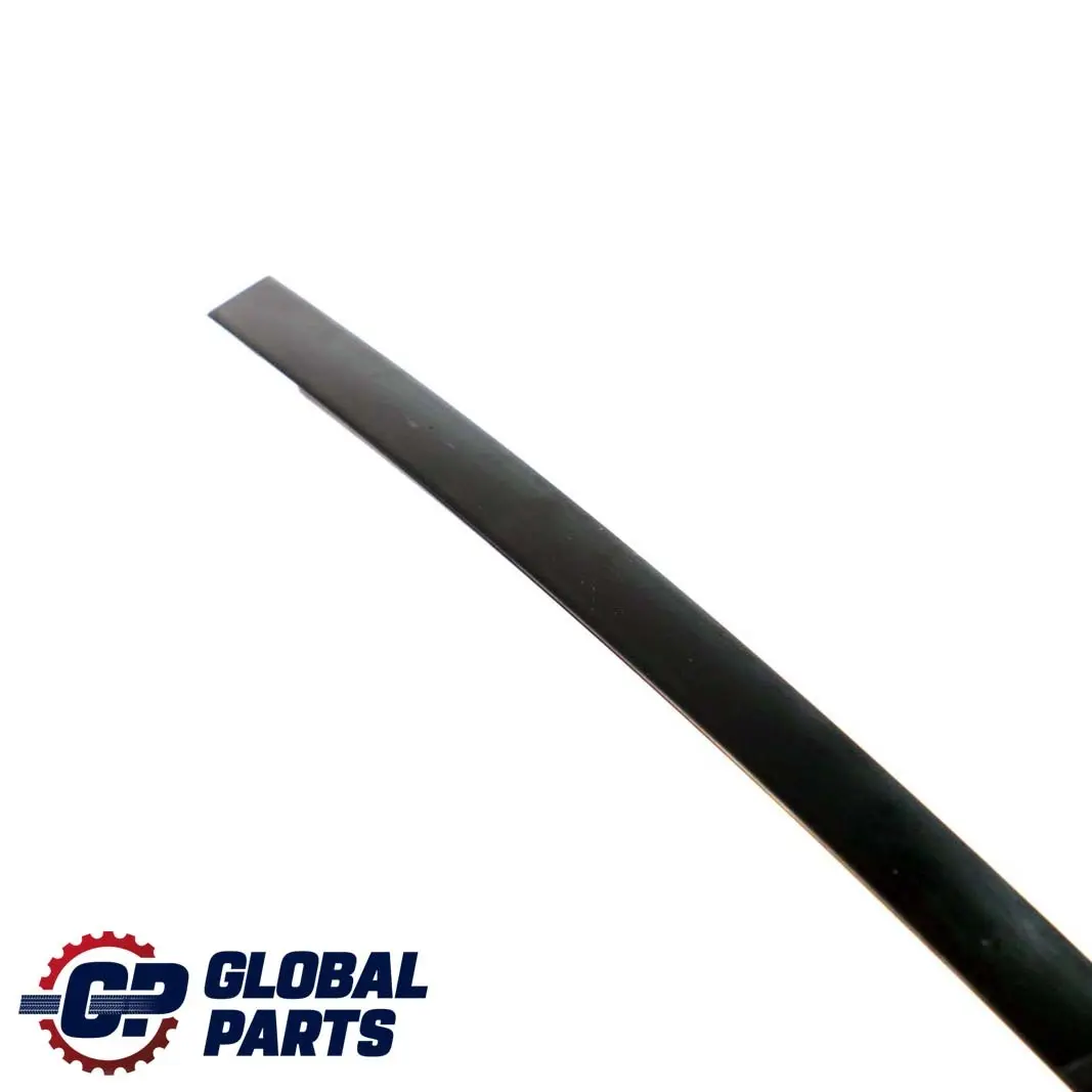 Ventana Guia Web Cubierta Derecha Trasera Negro para BMW E46 Berlina con número de pieza 8160974 BMW E46 Berlina Ventana Guia Web Cubierta Derecha Trasera Negro - SKU 8160974 - Número de pieza 8160974