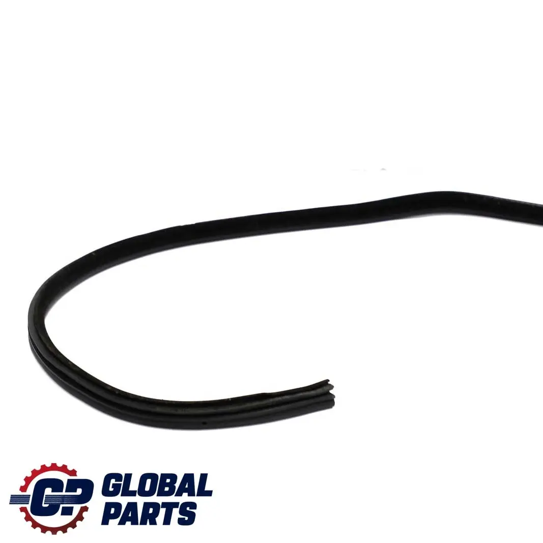 BMW 3 Series E46 Saloon Door Weatherstrip Rear Seal Sealing Gasket Right O/S - SKU 8194698 - Part number 8194698