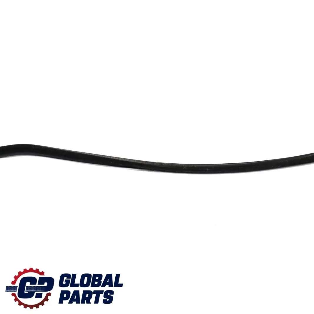 BMW 3 Series E46 Saloon Door Weatherstrip Rear Seal Sealing Gasket Right O/S - SKU 8194698 - Part number 8194698