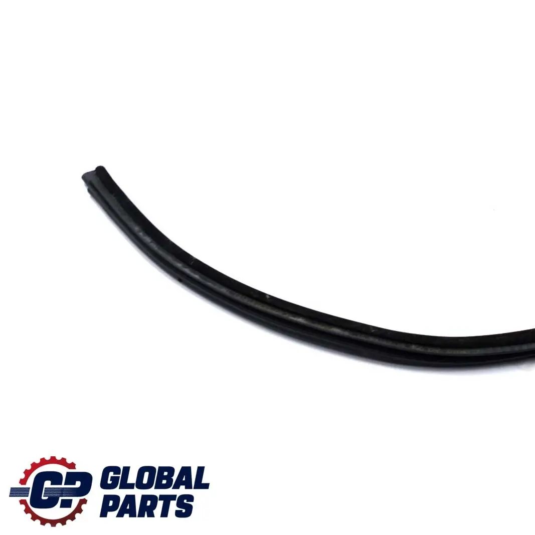 BMW 3 Series E46 Saloon Door Weatherstrip Rear Seal Sealing Gasket Right O/S - SKU 8194698 - Part number 8194698
