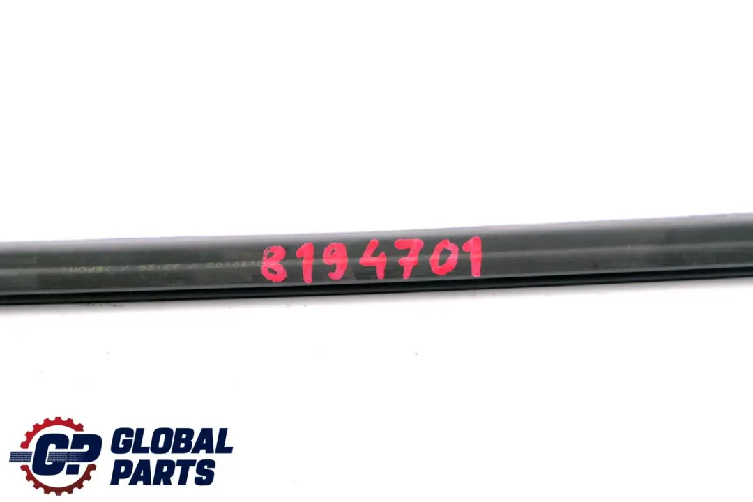 BMW E46 Coperchio Del Canale Interno Finestrino Porta Anteriore Sinistra - SKU 8194701 - Numero di parte 8194701