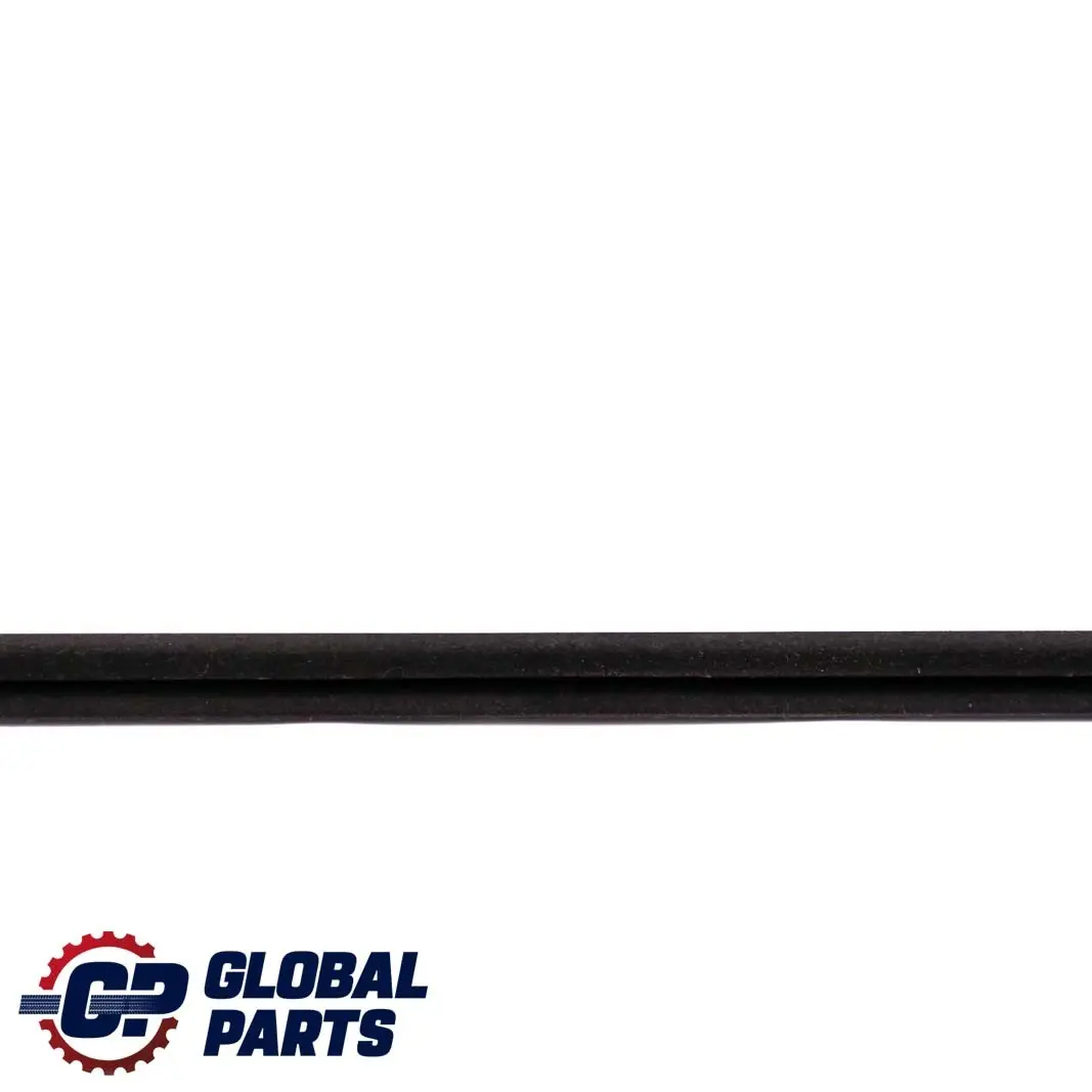 Chiusino Interno Destro Guarnizione Portiera Frontale per BMW E46 con numero di parte 8194702 BMW E46 Chiusino Interno Destro Guarnizione Portiera Frontale - SKU 8194702 - Numero di parte 8194702