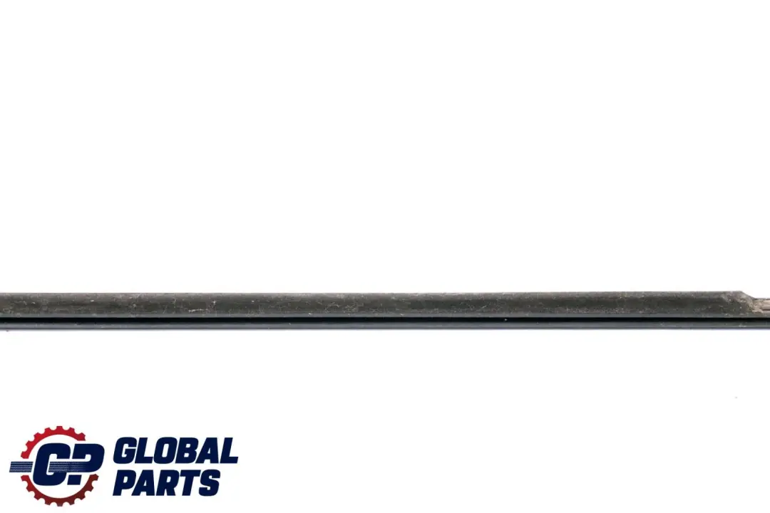 Puerta Trasera Derecha Interior Ventana Canal Tapa para BMW E46 Berlina con número de pieza 8194704 BMW E46 Berlina Puerta Trasera Derecha Interior Ventana Canal Tapa - SKU 8194704 - Número de pieza 8194704