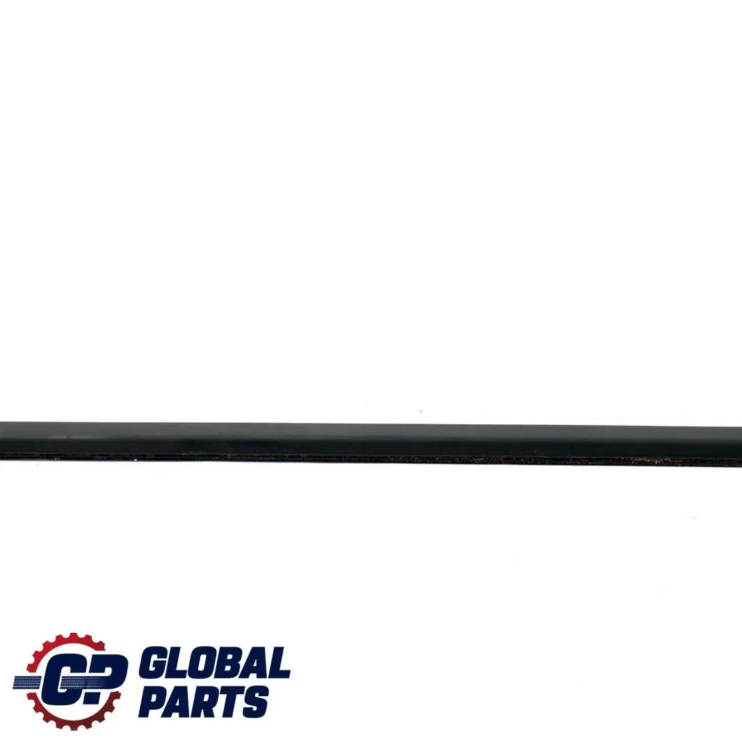 Front Left Door Outer Weatherstrip Window N/S to BMW 3 Series E46 Saloon with Part number 8194707 BMW 3 Series E46 Saloon Front Left Door Outer Weatherstrip Window N/S - SKU 8194707 - Part number 8194707