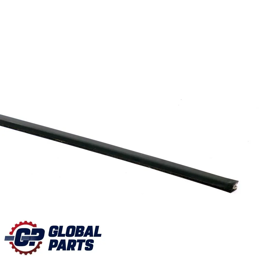 Front Left Door Outer Weatherstrip Window N/S to BMW 3 Series E46 Saloon with Part number 8194707 BMW 3 Series E46 Saloon Front Left Door Outer Weatherstrip Window N/S - SKU 8194707 - Part number 8194707