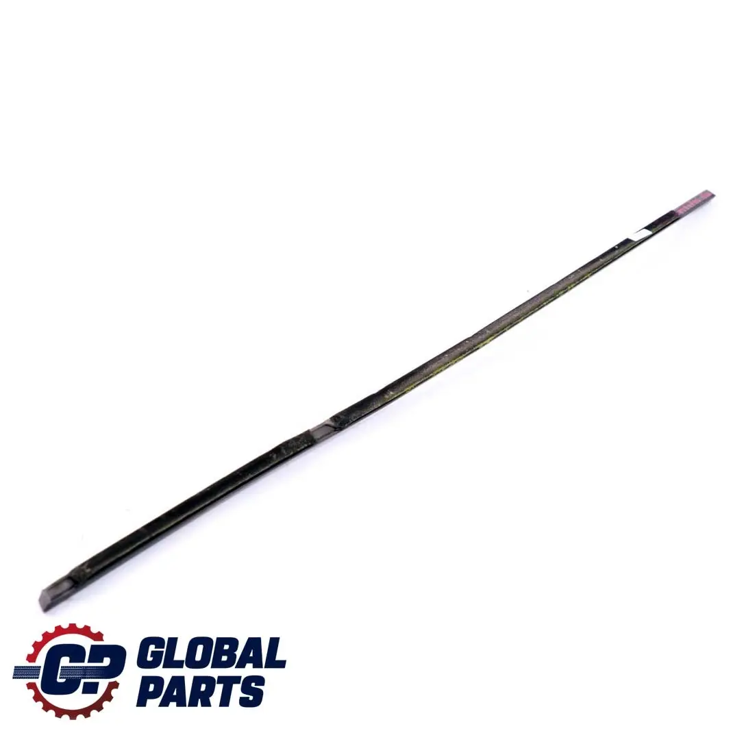 Porta Posteriore Destra Finestra Esterna Paraspruzzi per BMW E46 Berlina con numero di parte 8194710 BMW E46 Berlina Porta Posteriore Destra Finestra Esterna Paraspruzzi - SKU 8194710 - Numero di parte 8194710