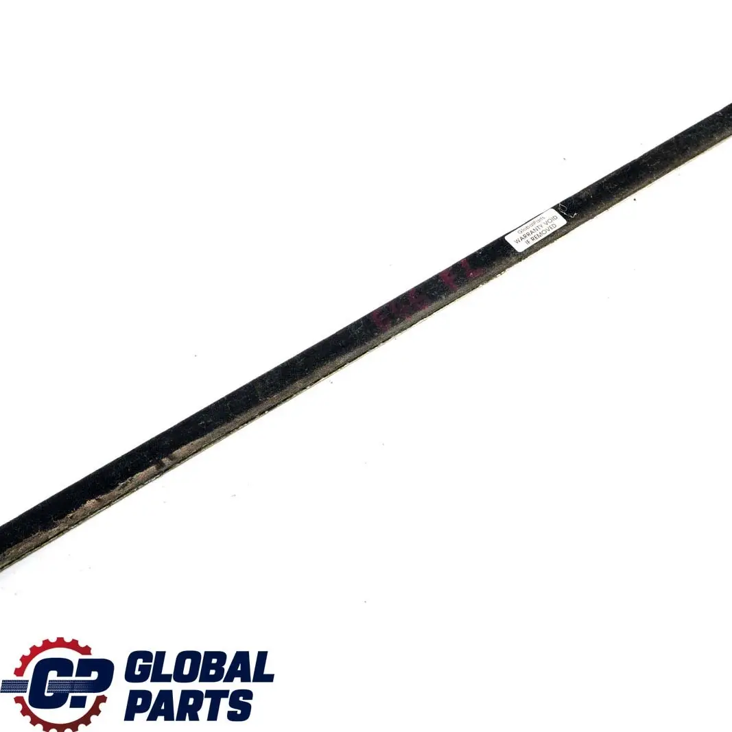 BMW E46 Saloon Touring Front Left N/S Door Outer Weatherstrip Chrom - SKU 8194711 - Part number 8194711