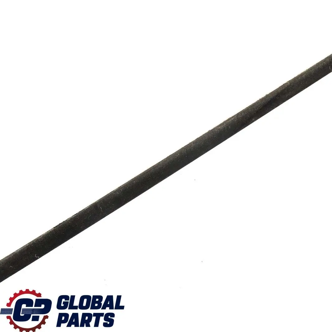 BMW E46 Front Right O/S Door Outer Weatherstrip Strip Chrom - SKU 8194712 - Part number 8194712