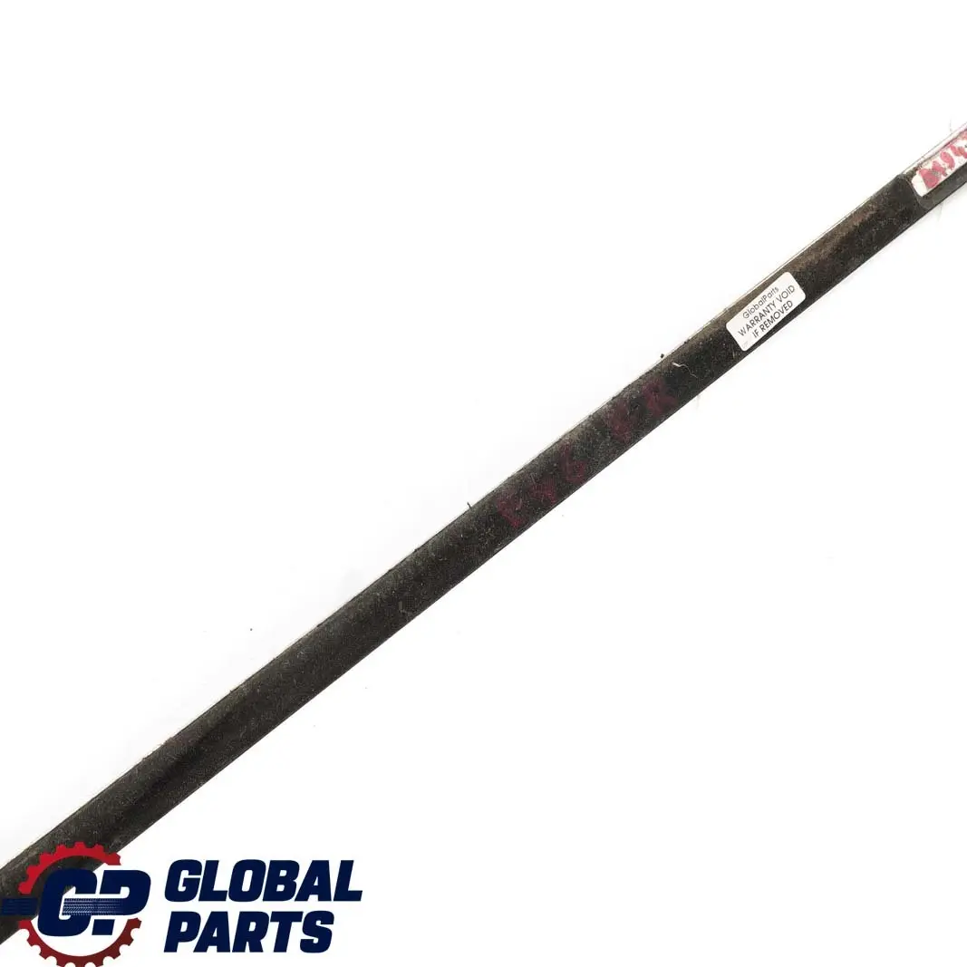 BMW E46 Front Right O/S Door Outer Weatherstrip Strip Chrom - SKU 8194712 - Part number 8194712