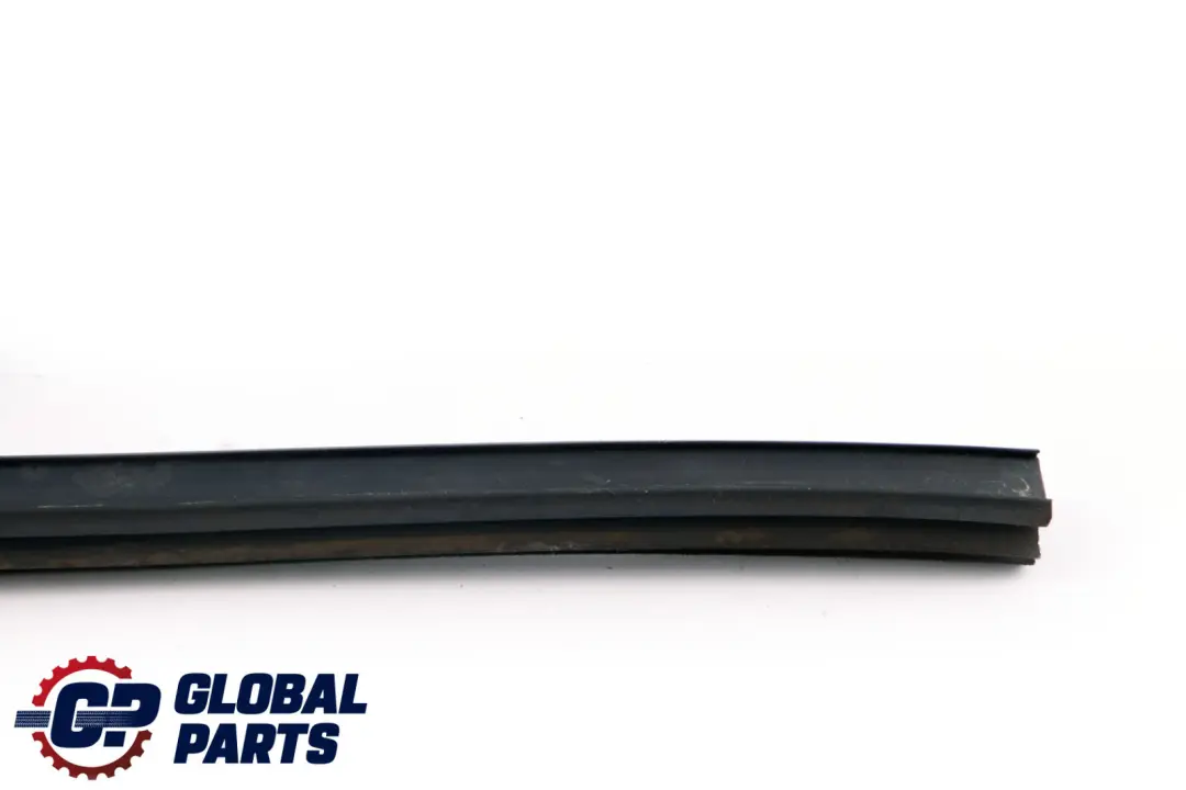 BMW E46 Coupé Front Door Window Guide Mirror Seal Left N/S - SKU 8194735 - Part number 8194735
