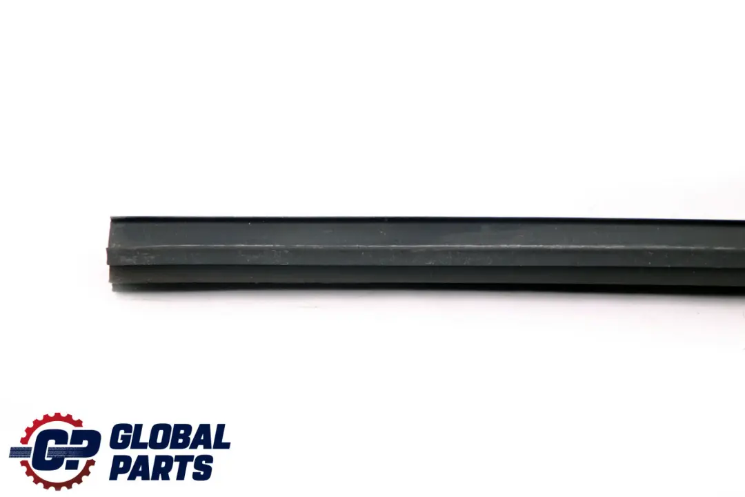 BMW E46 Coupé Guida finestrino destro Guarnizione porta anteriore - SKU 8194736 - Numero di parte 8194736
