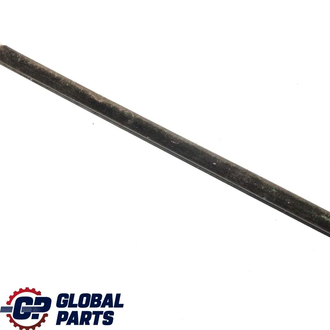 Puerta Trasera Izquierda Burlete Exterior Cromado para BMW E46 con número de pieza 8194759 BMW E46 Puerta Trasera Izquierda Burlete Exterior Cromado - SKU 8194759 - Número de pieza 8194759