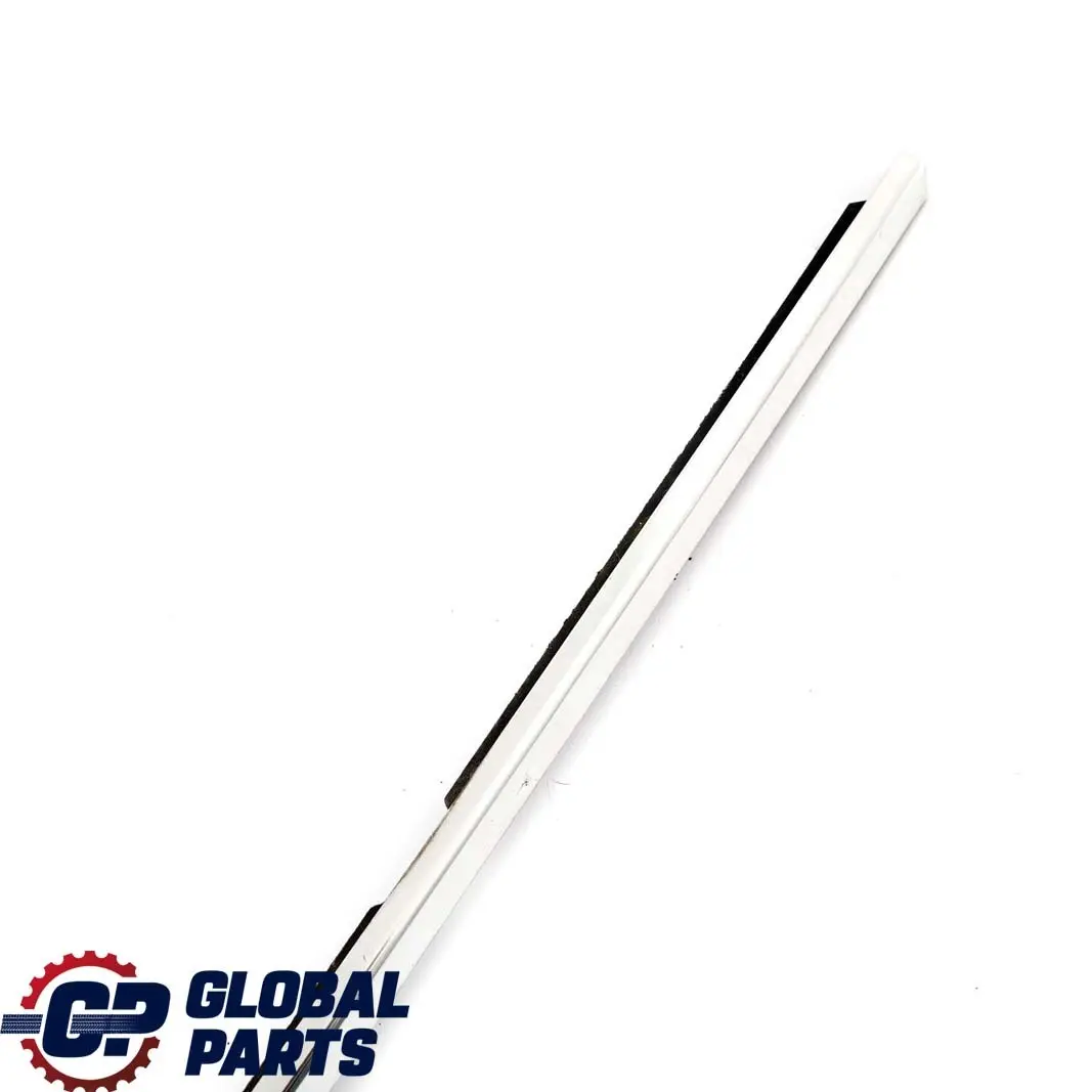 BMW E46 Rear Left Door N/S Outer Weatherstrip Chrome - SKU 8194759 - Part number 8194759