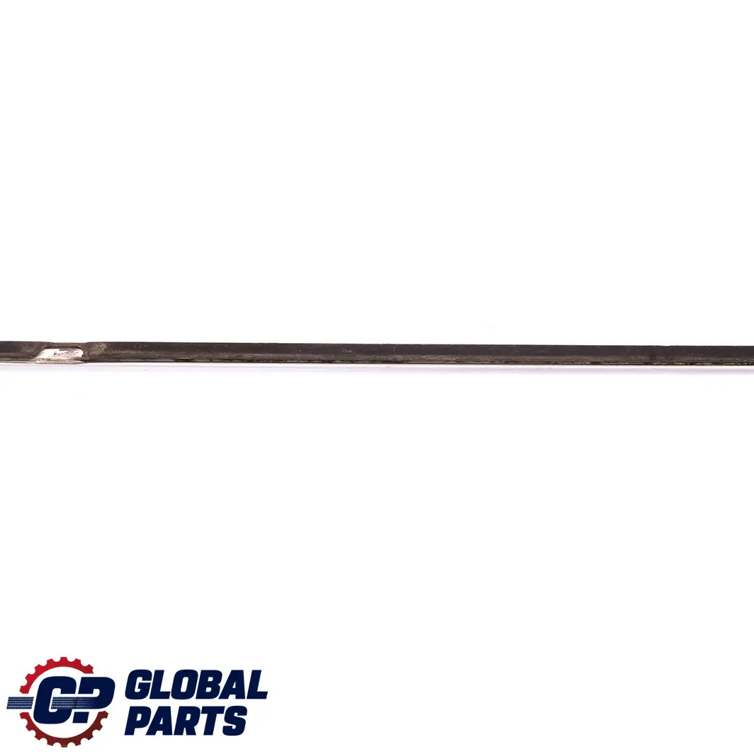 BMW 3 Series E46 Saloon Rear Right O/S Door Outer Weatherstrip Chrome - SKU 8194760 - Part number 8194760