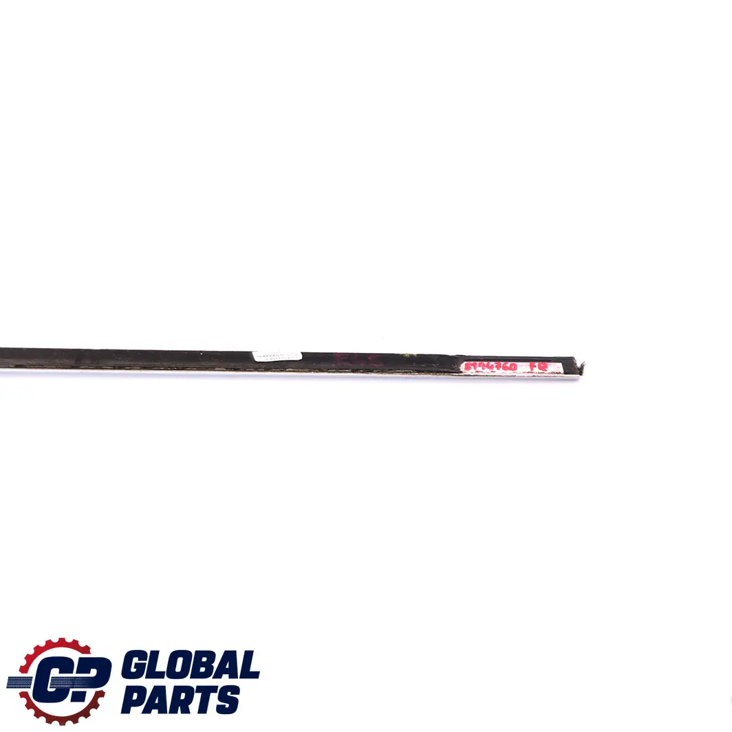 Right O/S Door Outer Weatherstrip Chrome to BMW 3 Series E46 Saloon Rear with Part number 8194760 BMW 3 Series E46 Saloon Rear Right O/S Door Outer Weatherstrip Chrome - SKU 8194760 - Part number 8194760