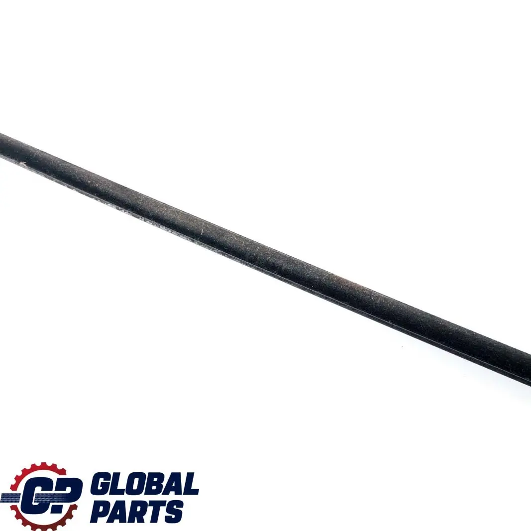 Trasera Izquierda Puerta Exterior Burlete Acabado Ventana para BMW E46 Touring con número de pieza 8194771 BMW E46 Touring Trasera Izquierda Puerta Exterior Burlete Acabado Ventana - SKU 8194771 - Número de pieza 8194771