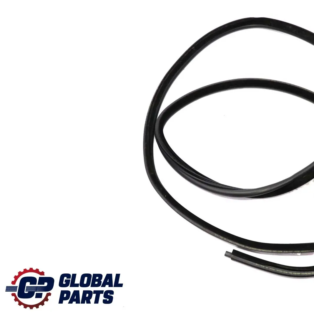BMW E46 Touring Puerta Burlete Junta De Sellado Trasero Izquierda - SKU 8194777 - Número de pieza 8194777