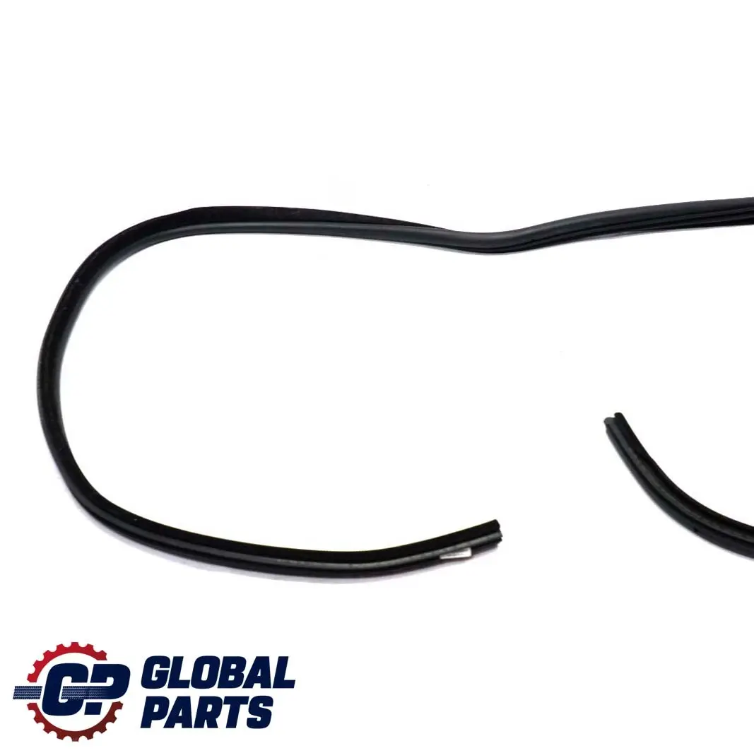 BMW E46 Touring Puerta Burlete Junta De Sellado Trasero Izquierda - SKU 8194777 - Número de pieza 8194777
