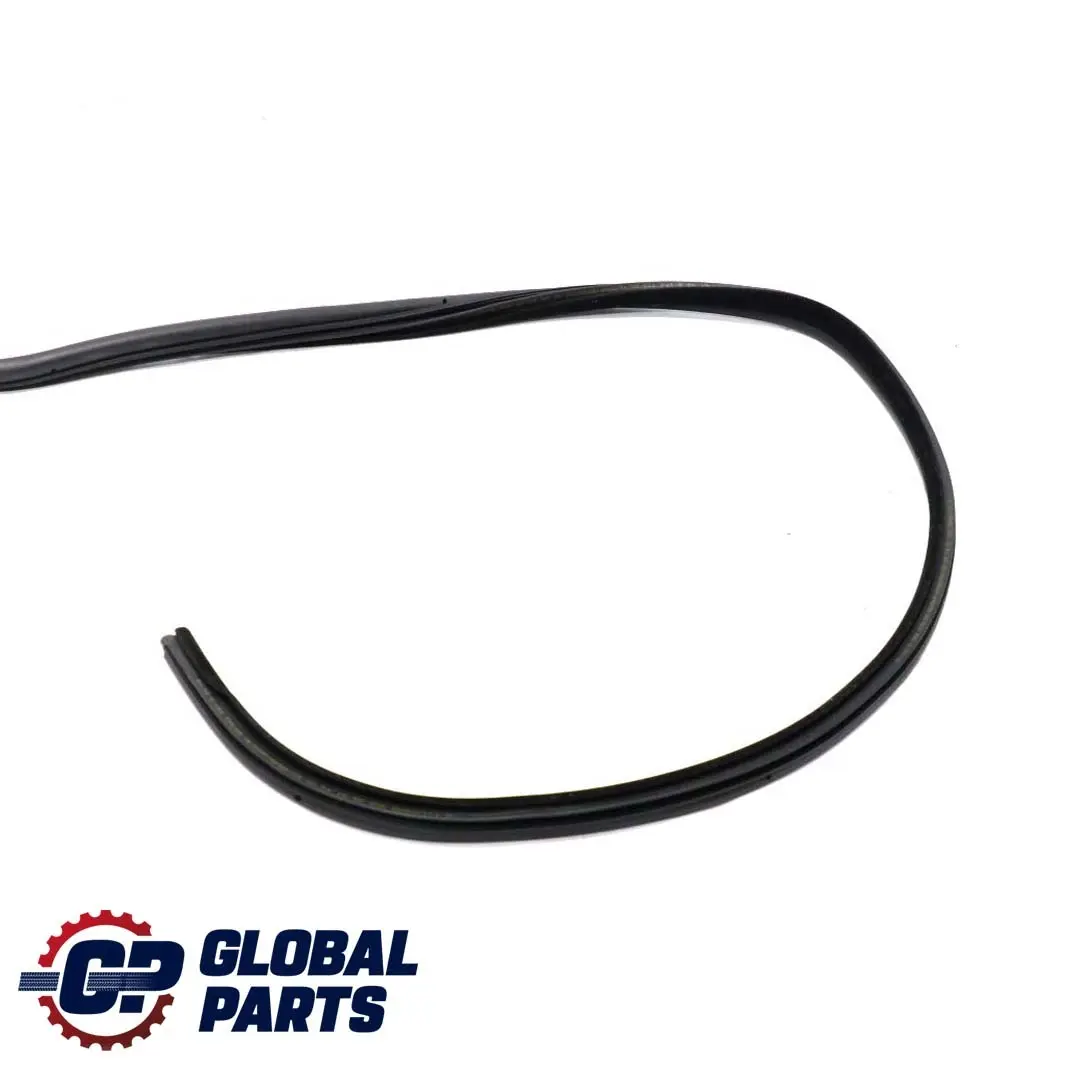Puerta Burlete Junta De Sellado Trasero Izquierda para BMW E46 Touring con número de pieza 8194777 BMW E46 Touring Puerta Burlete Junta De Sellado Trasero Izquierda - SKU 8194777 - Número de pieza 8194777