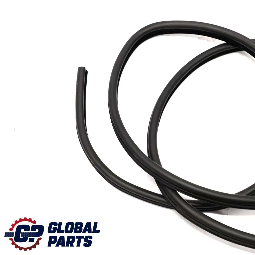 BMW E46 Touring Porta Weatherstrip Guarnizione Posteriore Guarnizione Tenuta - SKU 8194778 - Numero di parte 8194778
