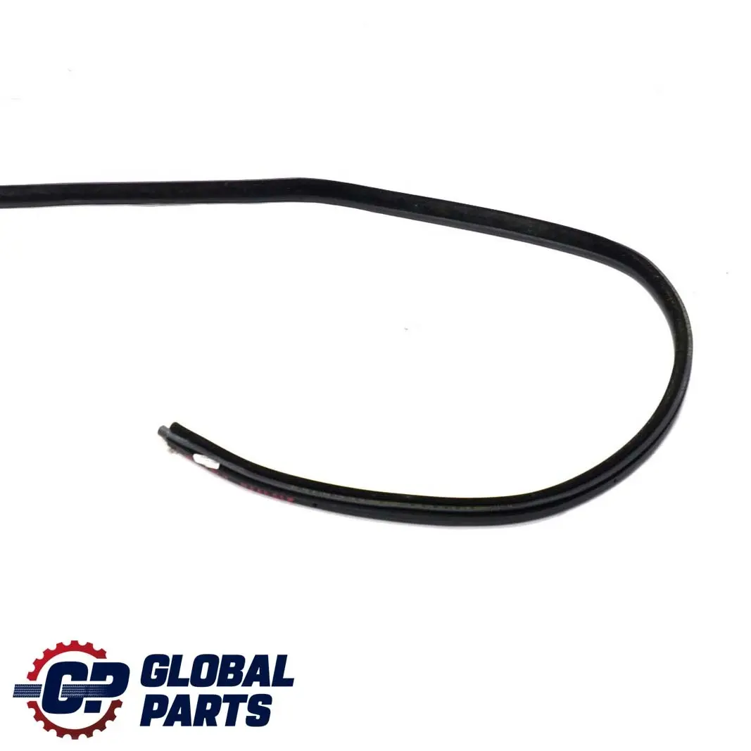 BMW 3 er E46 Touring Kombi Kantenschutz Tür Türdichtung Hinten Rechts - SKU 8194778 - Teilenummer 8194778