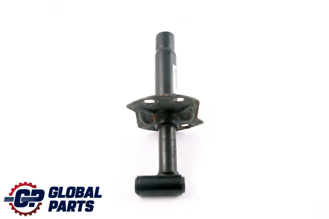 BMW E46 Amortiguador Delantero Izquierdo - SKU 8195297 - Número de pieza 8195297