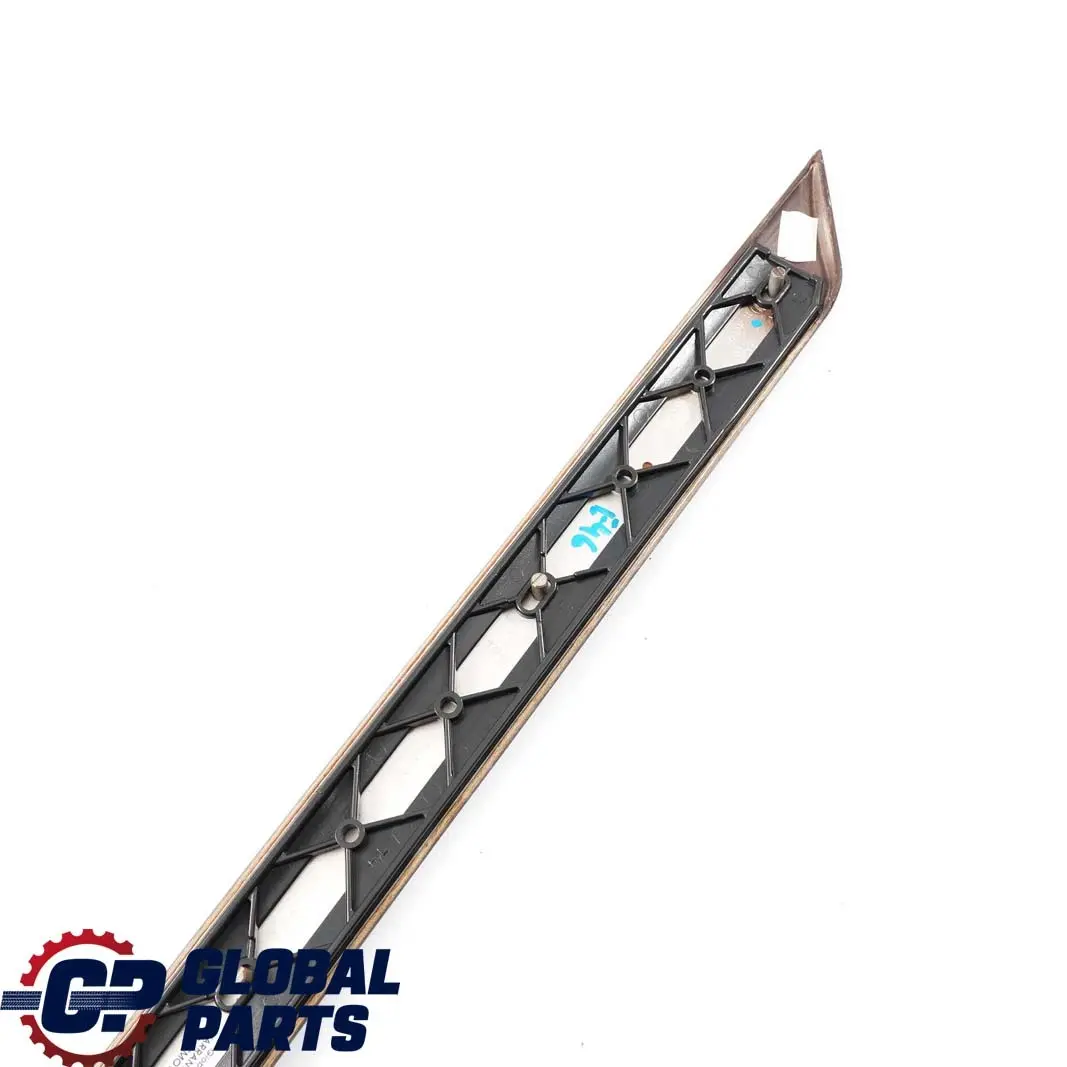 BMW E46 Holzleiste Trim Abdeckung Tür hinten links Holz Myrte - SKU 8200753 - Teilenummer 8200753