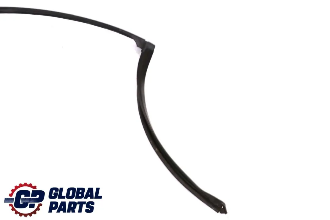 Fensterführung Tür Hinten Links für BMW 5 er E39 mit Teilenummer 8207185 BMW 5 er E39 Fensterführung Tür Hinten Links - SKU 8207185 - Teilenummer 8207185