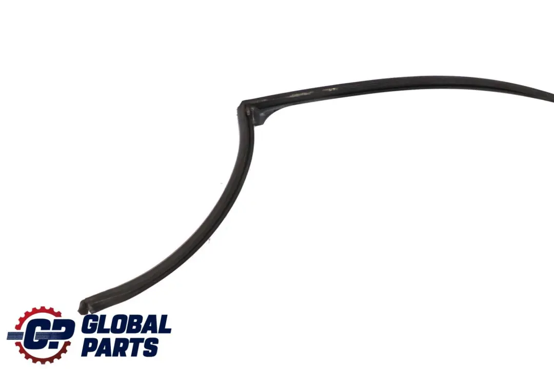 Fensterführung Tür Hinten Links für BMW 5 er E39 mit Teilenummer 8207185 BMW 5 er E39 Fensterführung Tür Hinten Links - SKU 8207185 - Teilenummer 8207185