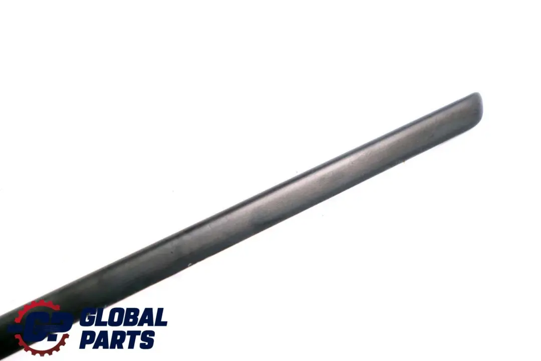 BMW E46 Puerta Trasera Izquierda Moldura Tira Embellecedora Negro - SKU 8208451 - Número de pieza 8208451