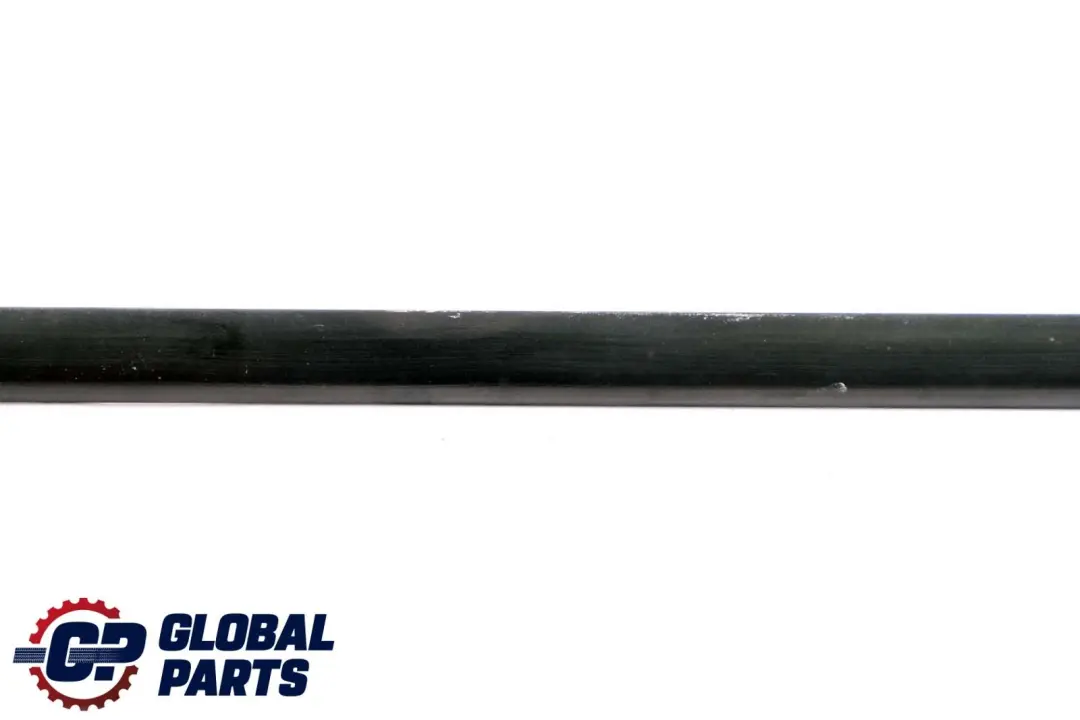 BMW E46 Puerta Trasera Izquierda Moldura Tira Embellecedora Negro - SKU 8208451 - Número de pieza 8208451
