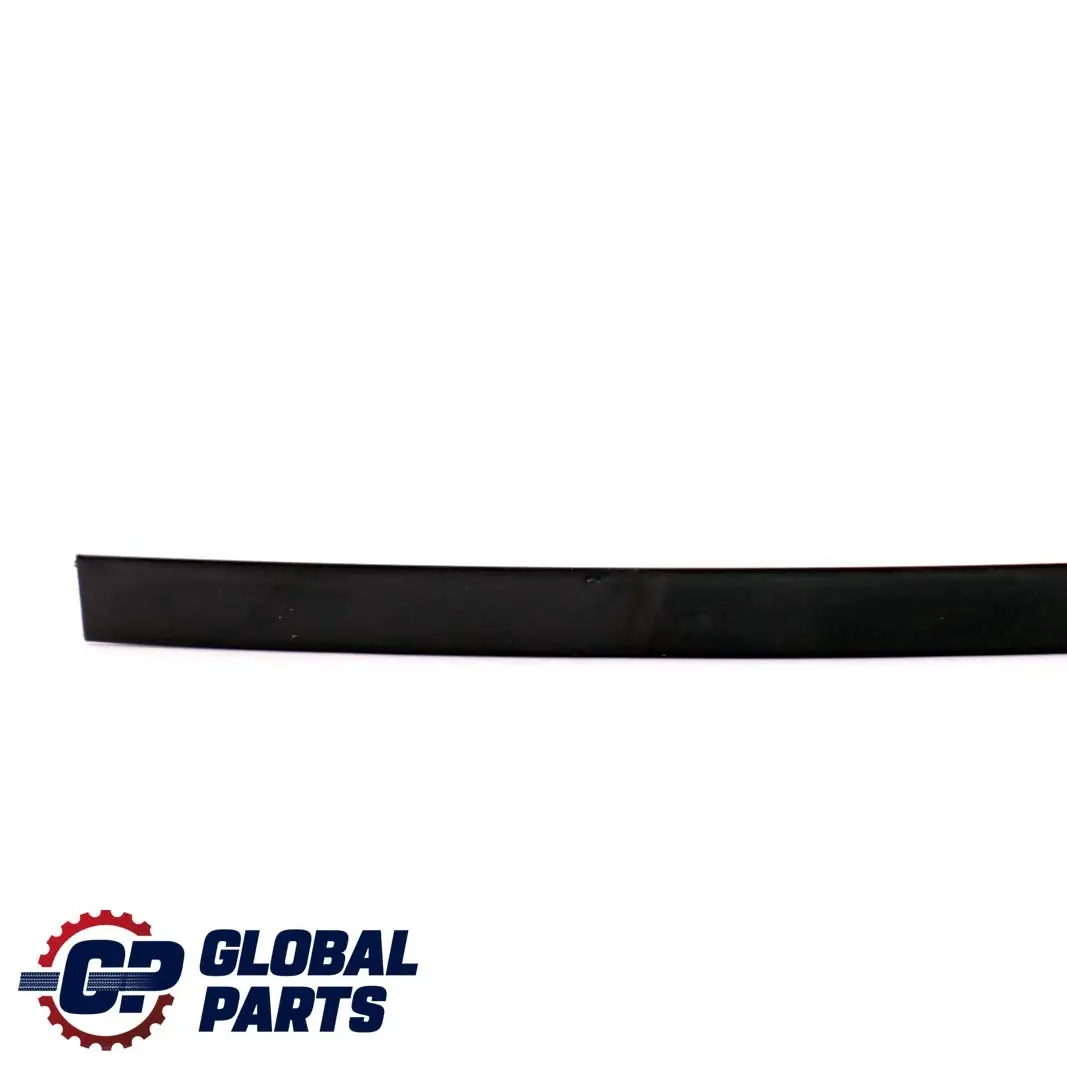 BMW E46 Ventana Guia Web Cubierta Recorte Negro Trasero Derecho - SKU 8208996 - Número de pieza 8208996