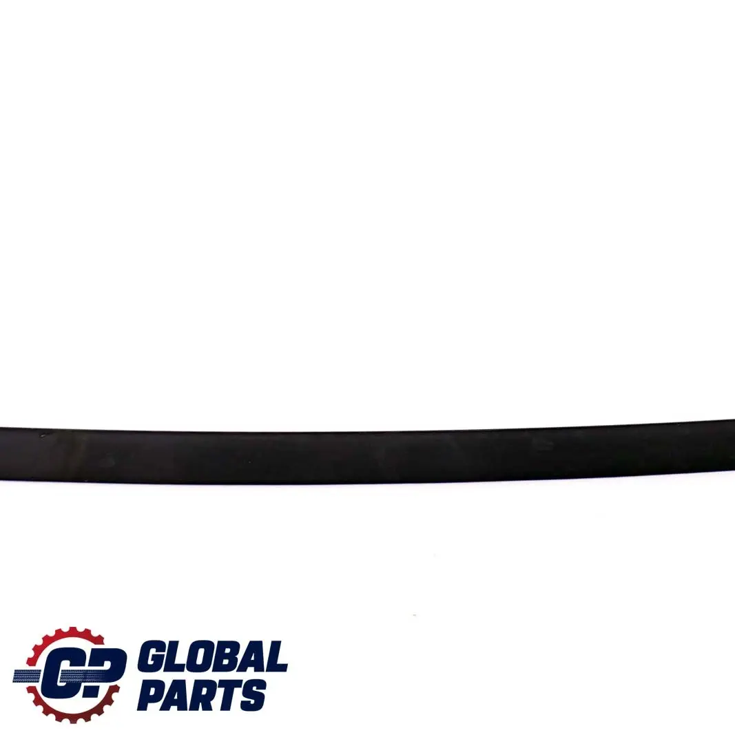 BMW E46 Ventana Guia Web Cubierta Recorte Negro Trasero Derecho - SKU 8208996 - Número de pieza 8208996