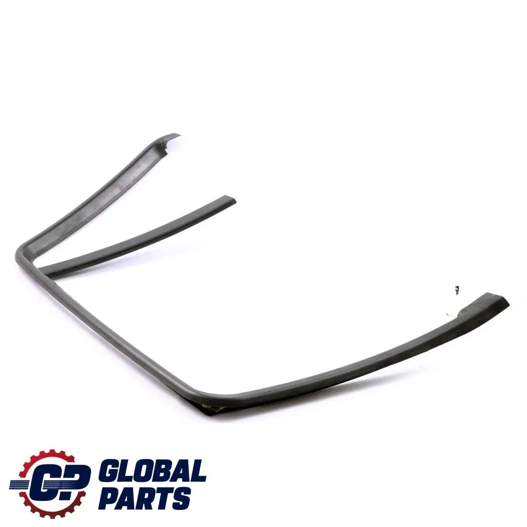 BMW E46 Touring Tapa Marco Ventana Puerta Trasera Derecha - SKU 8212526 - Número de pieza 8212526