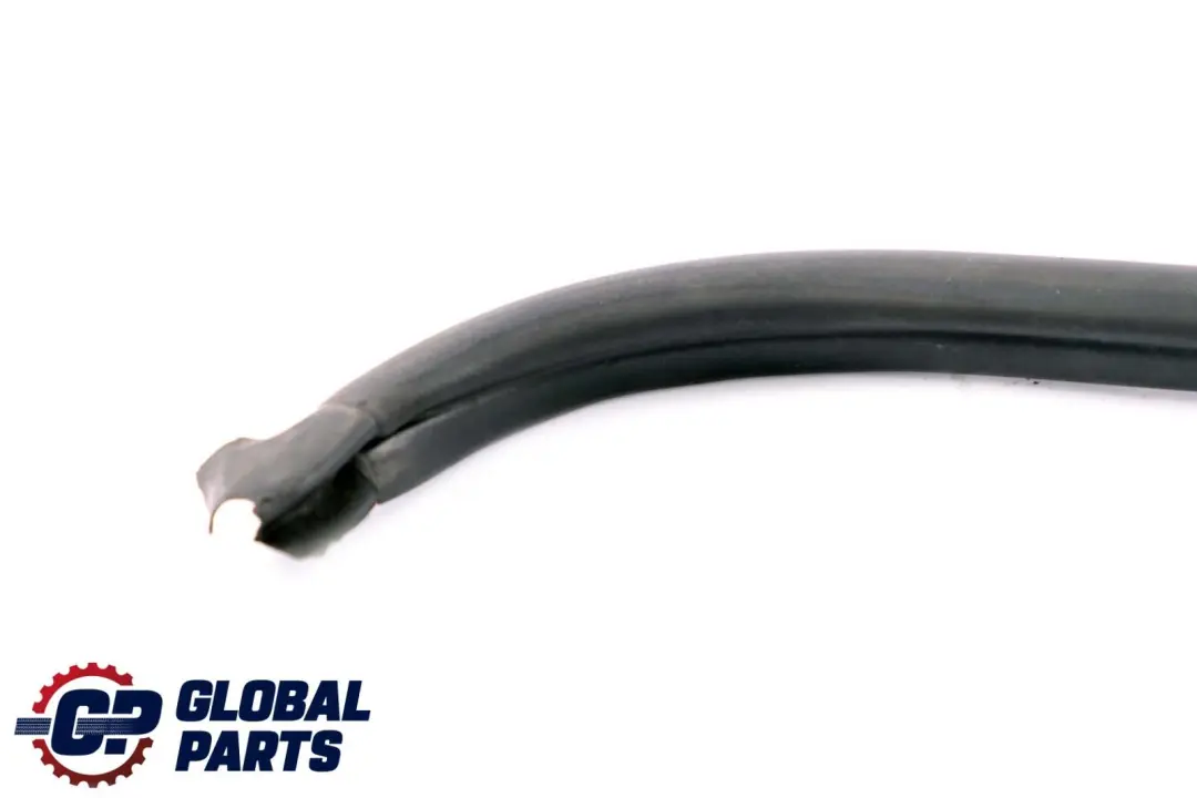 Vano Guarnizione Destra per BMW E46 con numero di parte 8215914 BMW E46 Vano Guarnizione Destra - SKU 8215914 - Numero di parte 8215914