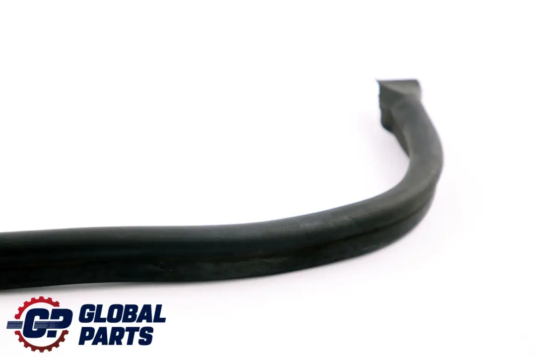 BMW 3 er E46 Abdichtung Filterkasten Frontklappe/Anbauteile - SKU 8215915 - Teilenummer 8215915