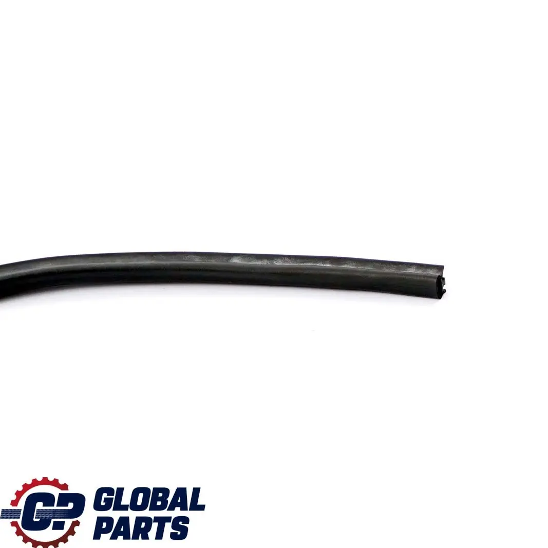 BMW 7 er E65 E66 Tür Dichtung Türfuge C-Säule Hinten Links - SKU 8223763 - Teilenummer 8223763