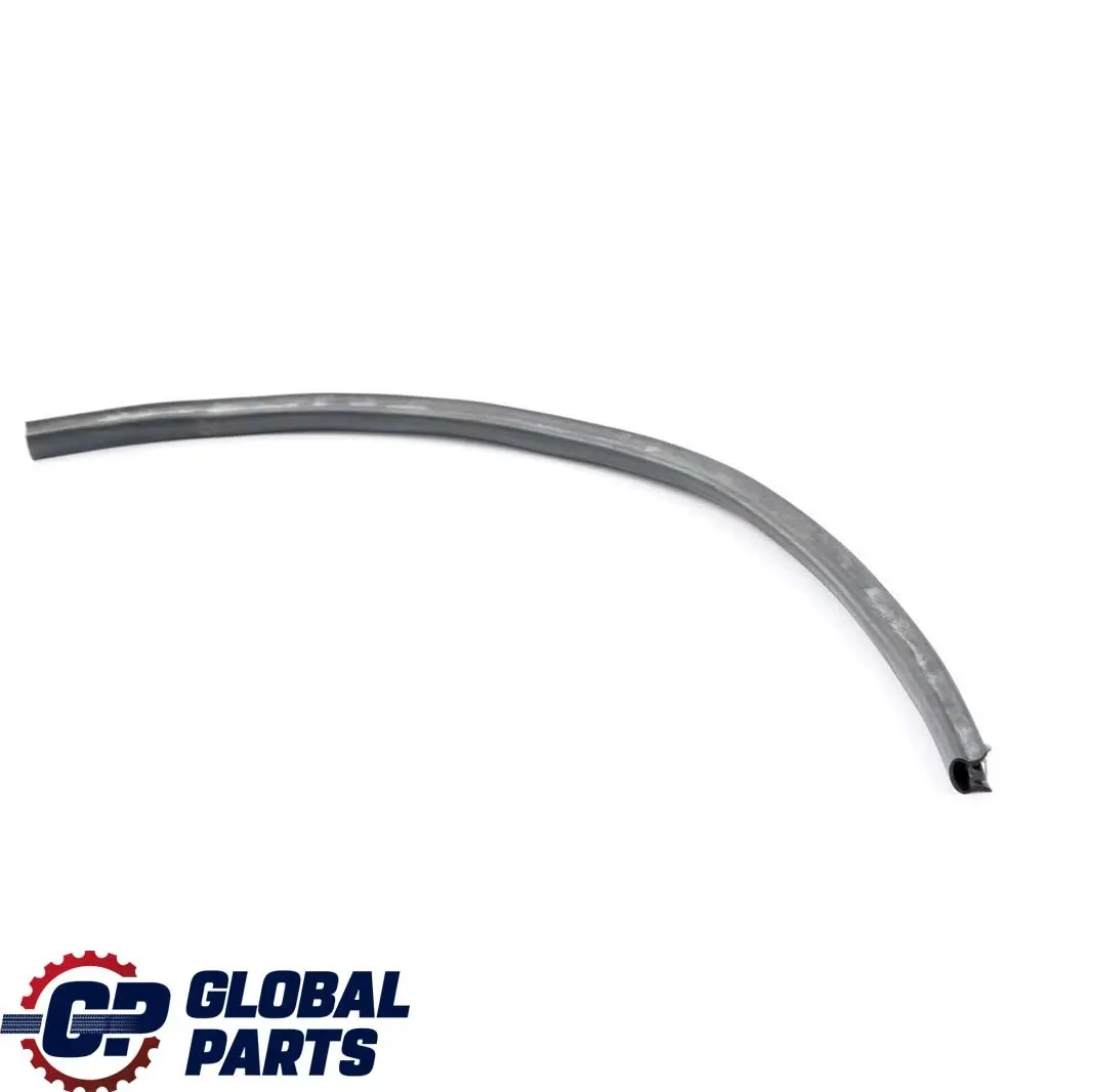 BMW 7 er E65 E66 Tür Dichtung Türfuge C-Säule Hinten Links - SKU 8223763 - Teilenummer 8223763