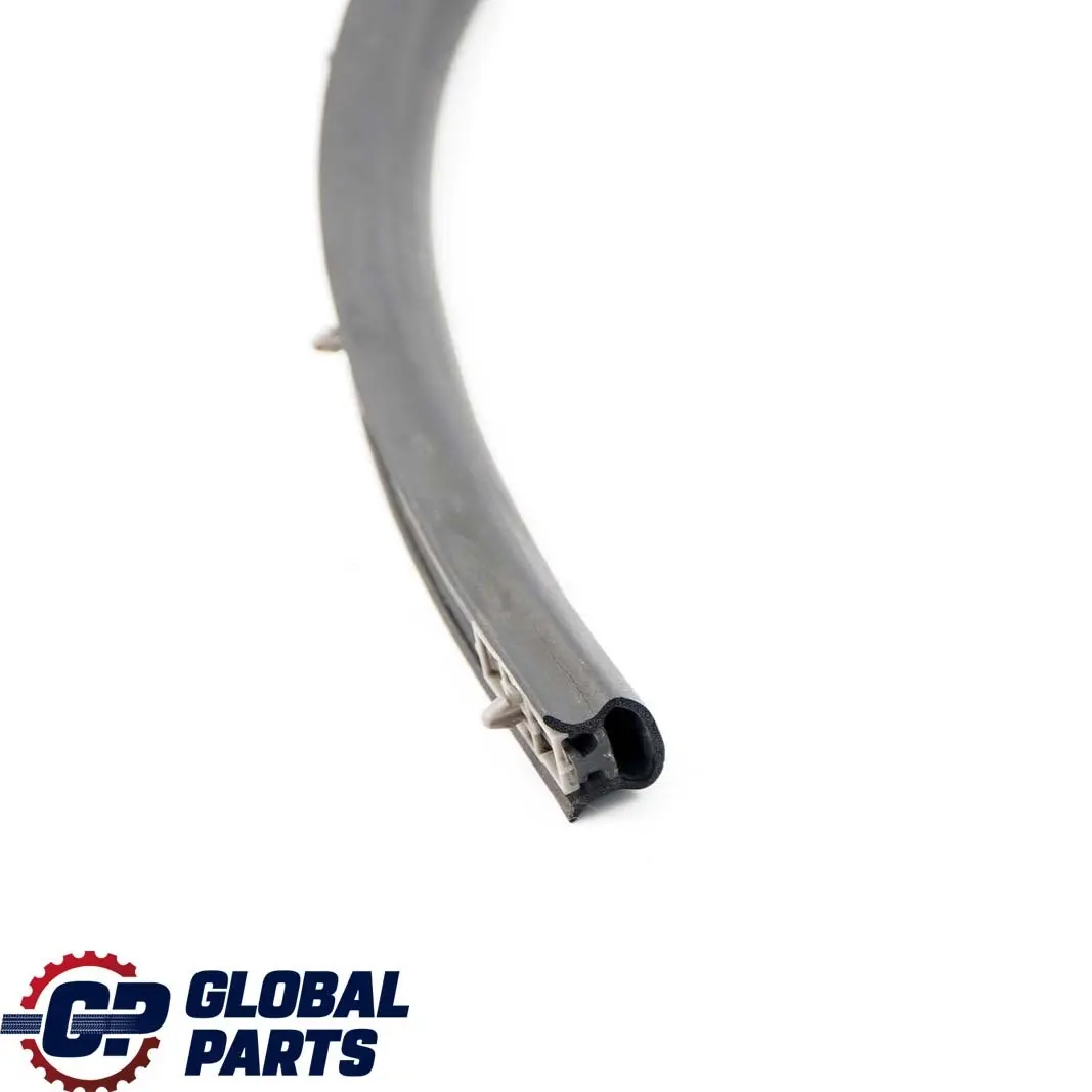 BMW E65 E66 Door Weatherstrip Rear Seal Gasket C Column Left N/S - SKU 8223763 - Part number 8223763