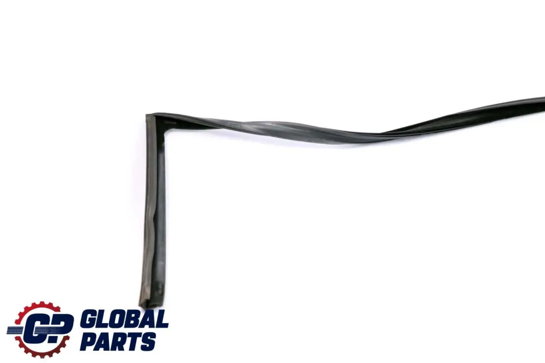 Fensterführung Tür Vorne Rechts für BMW 5 er E39 mit Teilenummer 8226874 BMW 5 er E39 Fensterführung Tür Vorne Rechts - SKU 8226874 - Teilenummer 8226874