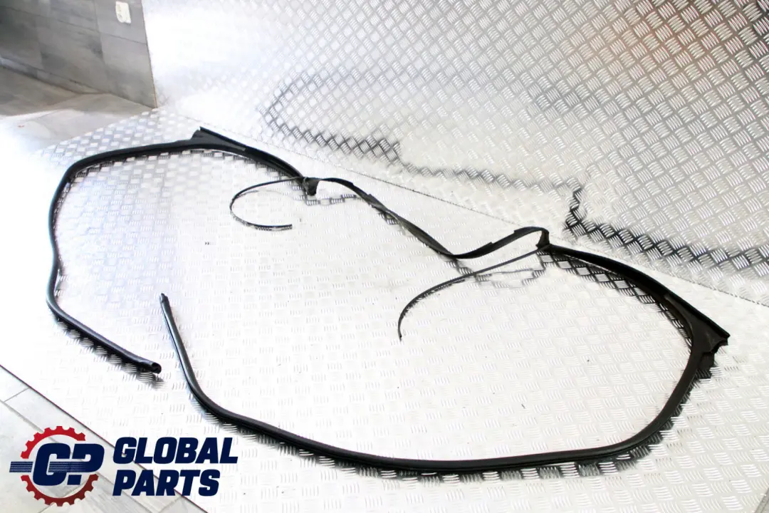 BMW 3 Series E46 Cabrio Convertible Hardtop Roof Frame Gasket Seal - SKU 8229841 - Part number 8229841