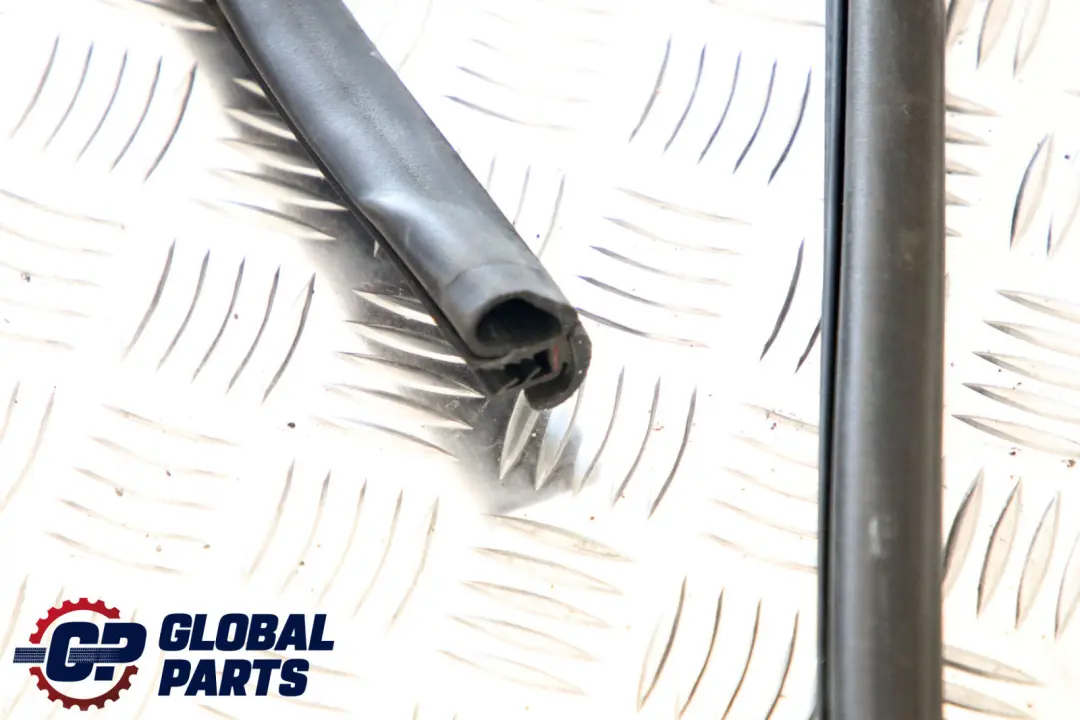 BMW 3 Series E46 Cabrio Convertible Hardtop Roof Frame Gasket Seal - SKU 8229841 - Part number 8229841