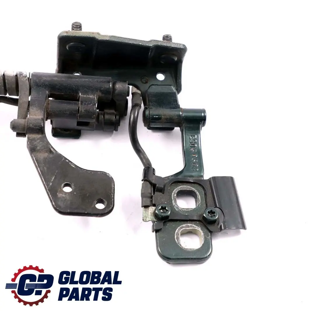 BMW 3 E46 Touring Rear Right O/S Trunk Lid Hinge Oxfordgruen Green 430 - SKU 8232872-OXF - Part number 8232872