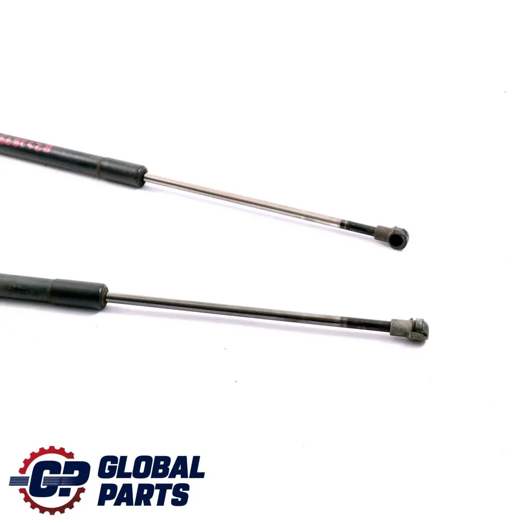 BMW E46 Touring Trunk Lid Tailgate Gas Pressurized Spring Set - SKU 8232873 - Part number 8232873