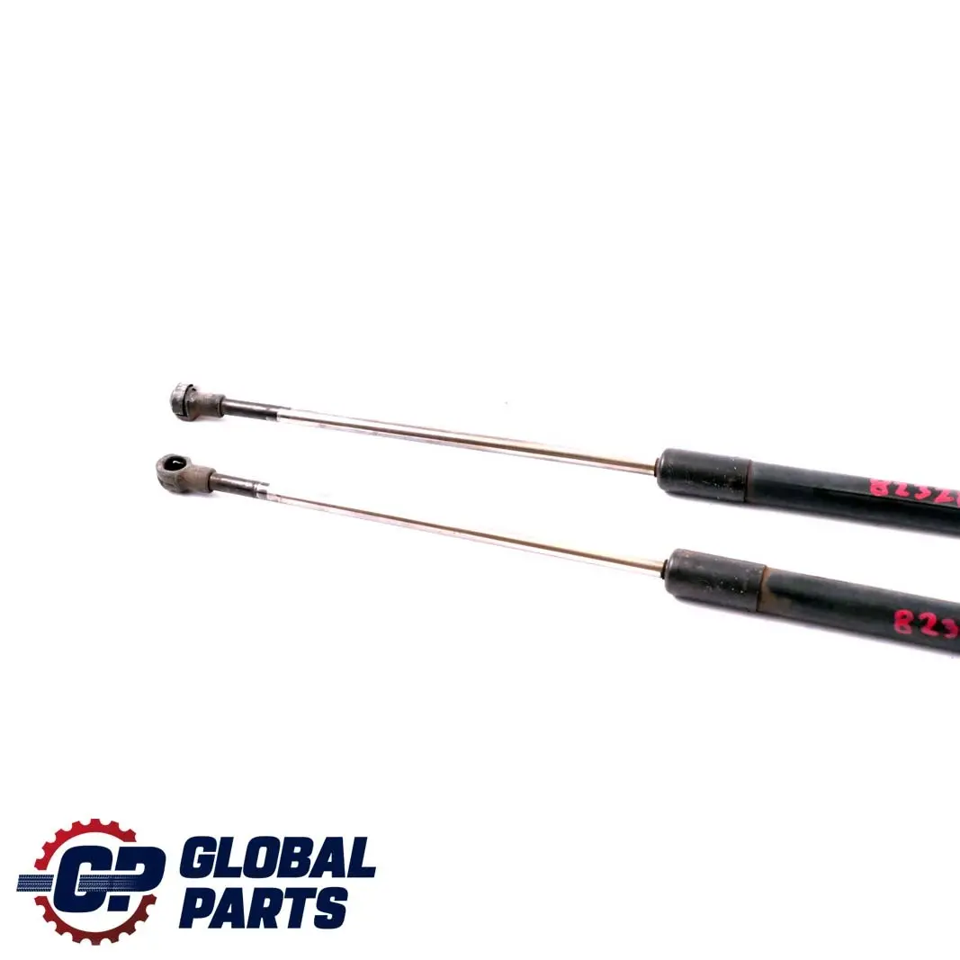 Tapa maletero Portón trasero gas presión Juego muelles para BMW E46 Touring con número de pieza 8232873 BMW E46 Touring Tapa maletero Portón trasero gas presión Juego muelles - SKU 8232873 - Número de pieza 8232873