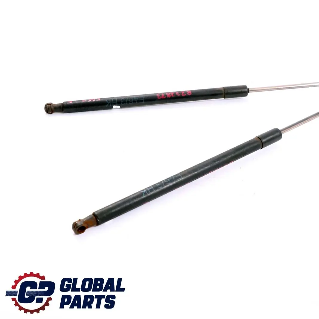 BMW E46 Touring Tapa maletero Portón trasero gas presión Juego muelles - SKU 8232873 - Número de pieza 8232873