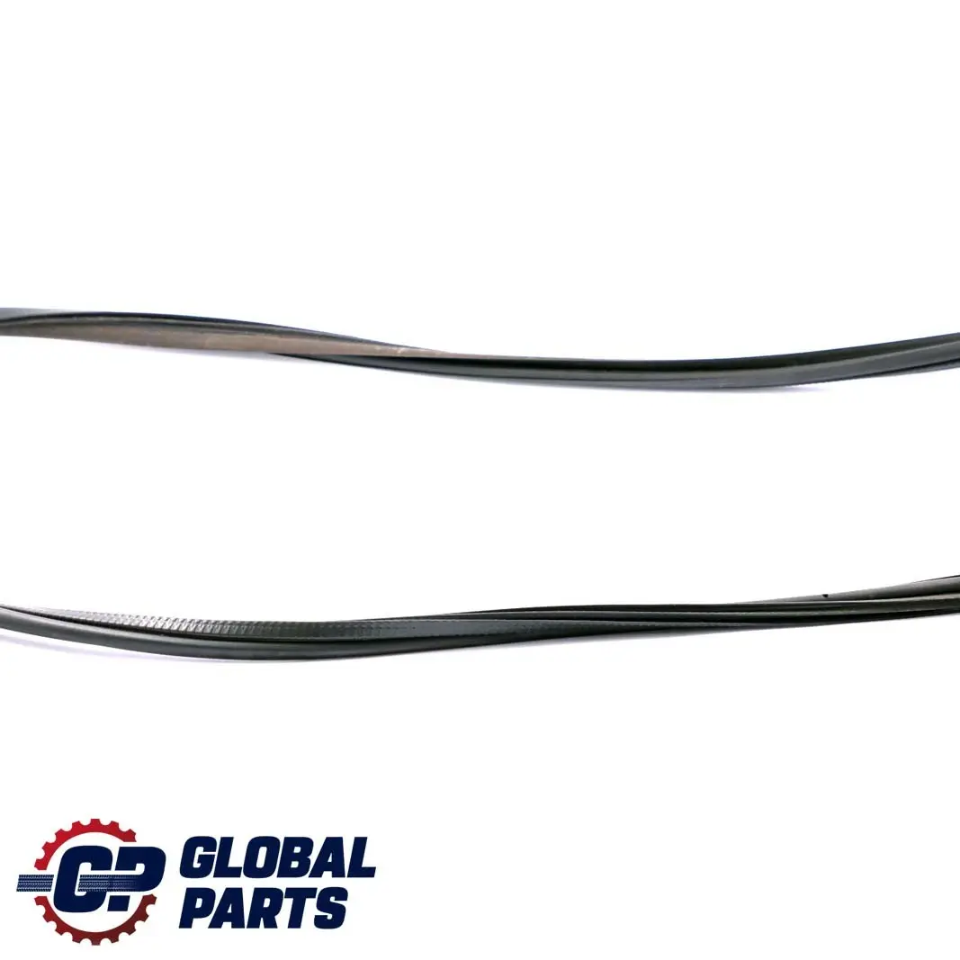 Portellone Posteriore Guarnizione Tenuta Guarnizione per BMW E46 Touring con numero di parte 8233431 BMW E46 Touring Portellone Posteriore Guarnizione Tenuta Guarnizione - SKU 8233431 - Numero di parte 8233431